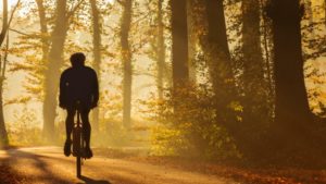 Vélo de fonction