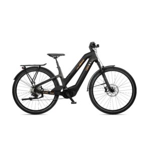 vélo électrique Manhattan